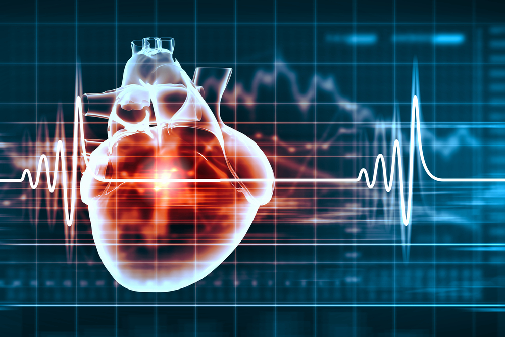 Virtual image of human heart with cardiogram